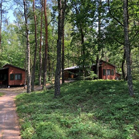 Lesnik Bungalow Stegna - Domki Letniskowe Nad Morzem Exterior foto