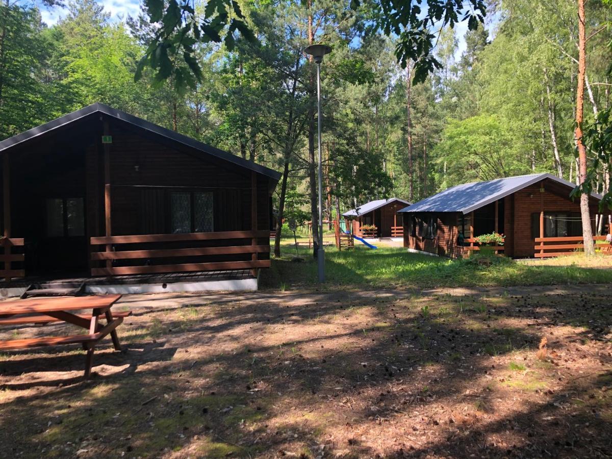 Lesnik Bungalow Stegna - Domki Letniskowe Nad Morzem Exterior foto