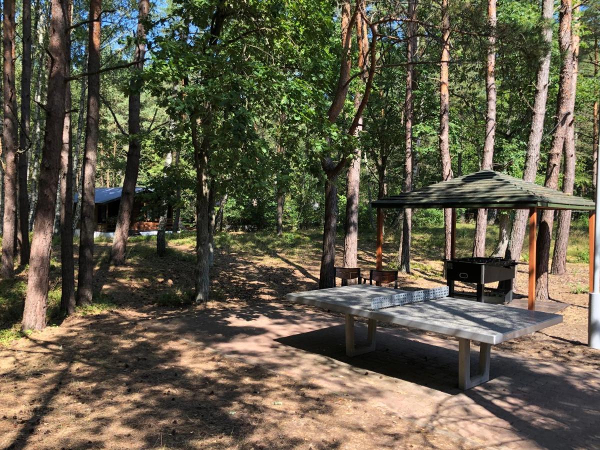 Lesnik Bungalow Stegna - Domki Letniskowe Nad Morzem Exterior foto
