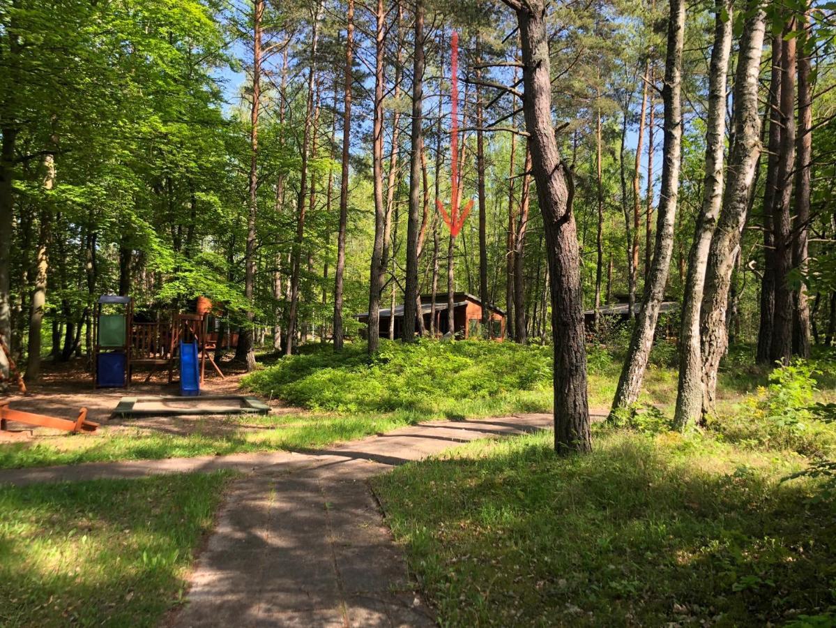 Lesnik Bungalow Stegna - Domki Letniskowe Nad Morzem Exterior foto